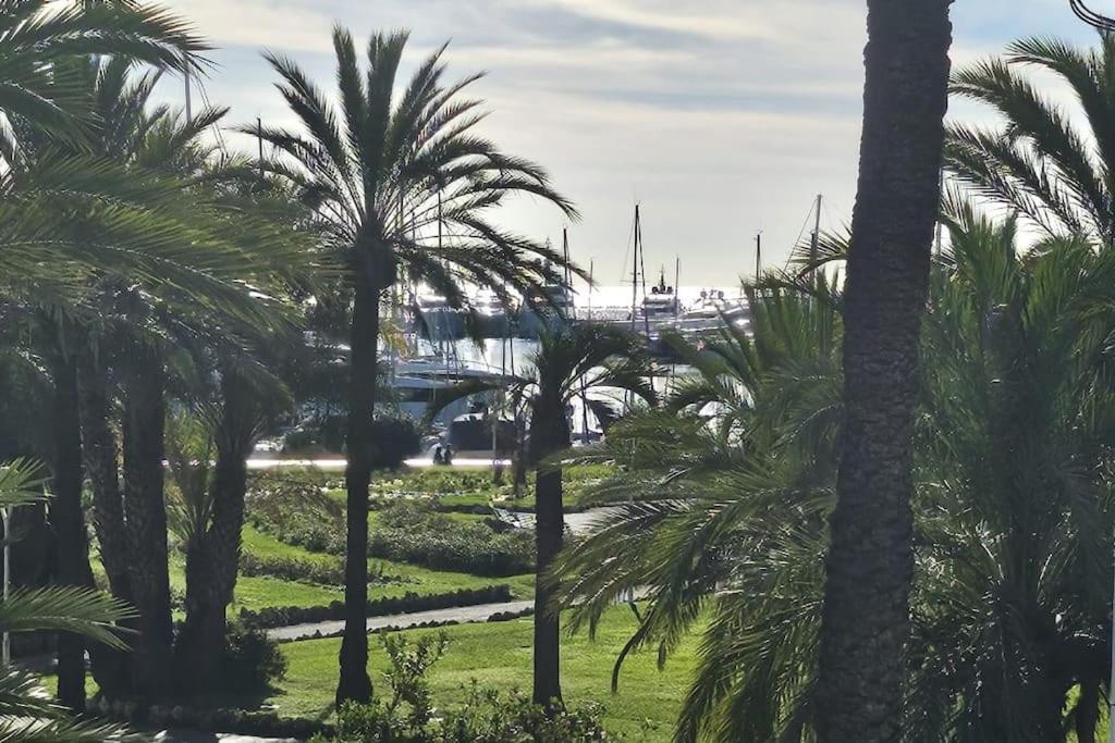 Croisette Loft Appartement Cannes